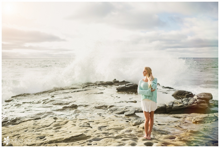 Personal: Looking Back at 2014 | Analisa Joy Photography | San Diego ...